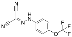 FCCP