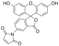 Fluorescein 5-Maleimide (90%)