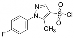 1-(4-fluorophenyl)-5-methyl-1H-pyrazole-4-sulfonyl chloride