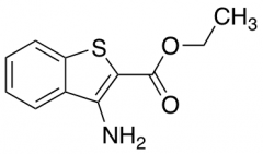 1-(3-fluorophenyl)-5-methyl-1H-1,2,4-triazole-3-carboxylic Acid