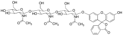 Fluorescein-&beta;-D-N,N',N''-Triacetylchitotrioside