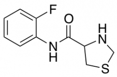 N-(2-Fluorophenyl)-1,3-thiazolidine-4-carboxamide