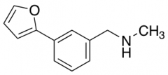 N-[3-(2-furyl)benzyl]-N-methylamine