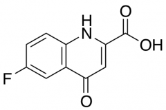 6-Fluoro-4-hydroxyquinoline-2-carboxylic Acid