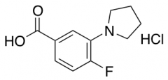 4-Fluoro-3-(pyrrolidin-1-yl)benzoic Acid Hydrochloride