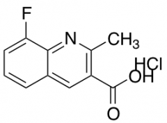 8-Fluoro-2-methylquinoline-3-carboxylic Acid Hydrochloride