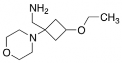 [3-ethoxy-1-(morpholin-4-yl)cyclobutyl]methanamine