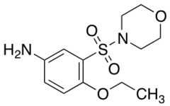 4-Ethoxy-3-(morpholine-4-sulfonyl)aniline