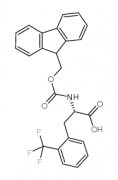 Fmoc-L-2-trifluoromethylphenylalanine