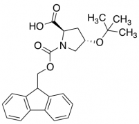 Fmoc-D-Hyp(tBu)-OH