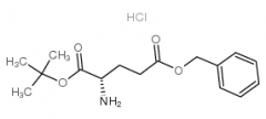 H-Glu(obzl)-otbu Hydrochloride