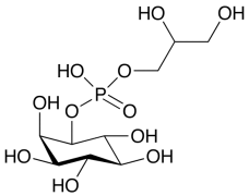 &alpha;-Glycerophosphoryl Inositol