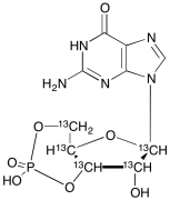 Guanosine 3&rsquo;,5&rsquo;-Cyclic Monophosphate-13C5