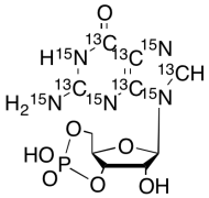Guanosine 3&rsquo;,5&rsquo;-Cyclic-13C5,15N5 Monophosphate