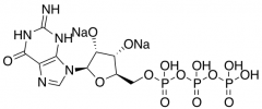 Guanosine-5'-triphosphate Disodium Salt