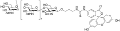 Hexa-N-acetylchitohexaose-aminopropyl-FITC