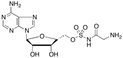 GlyRS-IN-1