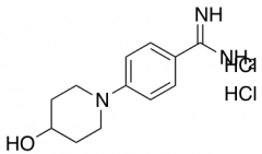 4-(4-hydroxypiperidin-1-yl)benzene-1-carboximidamide dihydrochloride