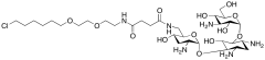 HaloTag O2 Tobramycin