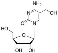 5-Hydroxymethylcytidine