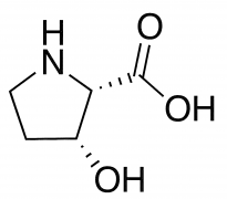 cis-L-3-Hydroxyproline