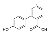 3-(4-Hydroxyphenyl)isonicotinic acid