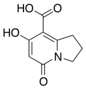 7-Hydroxy-5-oxo-1,2,3,5-tetrahydroindolizine-8-carboxylic Acid