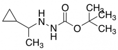 Hydrazinecarboxylic acid, 2-(1-cyclopropylethyl)-, 1,1-dimethylethyl ester