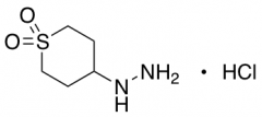 4-hydrazinyl-1lambda6-thiane-1,1-dione hydrochloride