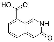 3-hydroxyisoquinoline-8-carboxylic acid