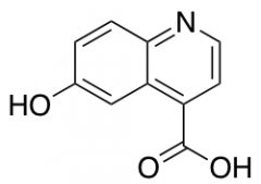 6-hydroxyquinoline-4-carboxylic acid