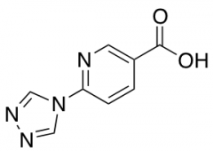 6-(4H-1,2,4-triazol-4-yl)nicotinic Acid