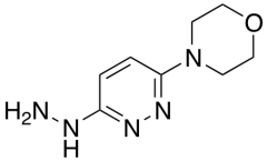 4-(6-hydrazinopyridazin-3-yl)morpholine