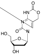 5-Hydroxymethlyl-2&rsquo;-deoxycytidine Cyclic Carbamate