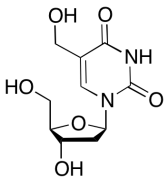 5-Hydroxymethyl-2&rsquo;-deoxyuridine