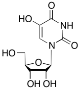 5-Hydroxyuridine