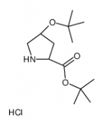 H-Hyp(tbu)-otbu hydrohchloride