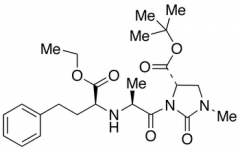 Imidapril tert-Butyl Ester