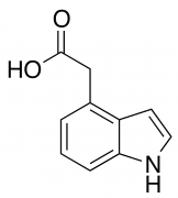 2-(1H-Indol-4-yl)acetic acid