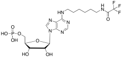 (-)-Inosine Dehydroxy-N-(6-iminohexyl)-2,2,2-trifluoroacetamide Phosphate