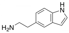 2-(1H-Indol-5-yl)ethanamine