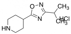 4-(3-Isopropyl-1,2,4-oxadiazol-5-yl)piperidine Hydrochloride