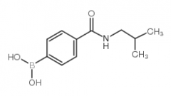 4-(Isobutylaminocarbonyl)phenylboronic acid