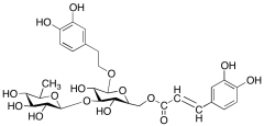 Isoacteoside