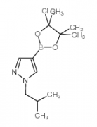 1-Isobutylpyrazole-4-boronic acid, pinacol ester