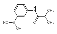 3-Isobutyramidophenylboronic acid