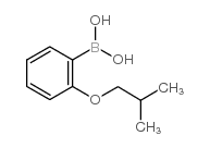 2-Isobutoxyphenylboronic acid