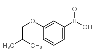 3-Isobutoxyphenylboronic Acid