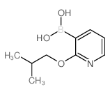 2-Isobutoxypyridine-3-boronic acid
