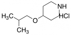 4-Isobutoxy-piperidine Hydrochloride